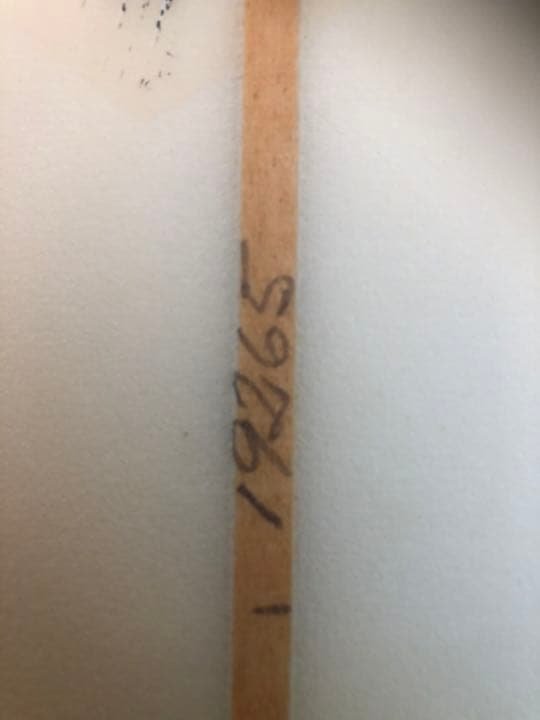 ニットケース付き ALOHA サーフボード セミガン サーフィン オンフィン