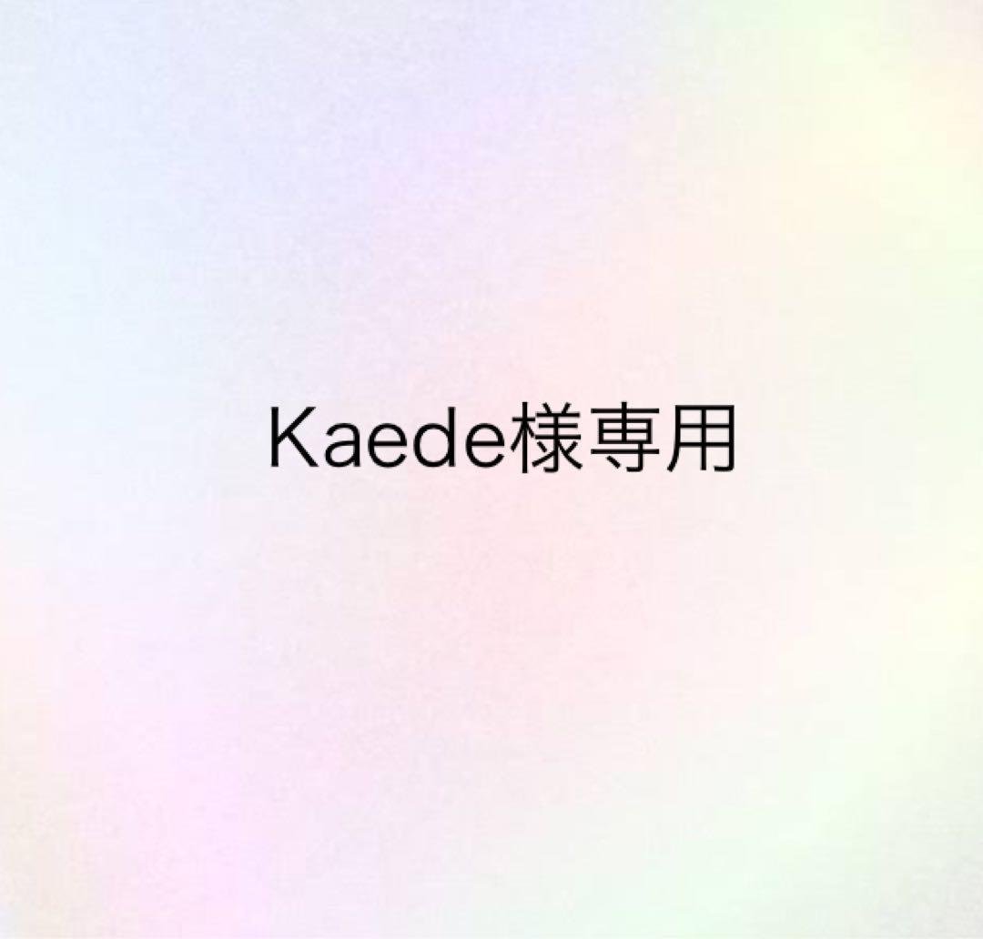 ＊＊＊Kaedeページ＊＊＊