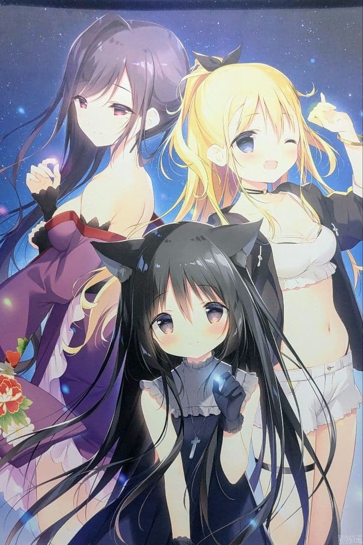 星空鉄道とシロの旅　B2 タペストリー　ノワール　花江　ジビエ　しらたま