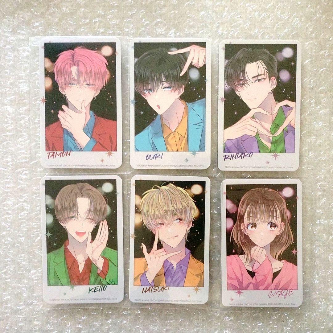 多聞くん今どっち　韓国　特典　フォトカード　6枚セット　福原多聞