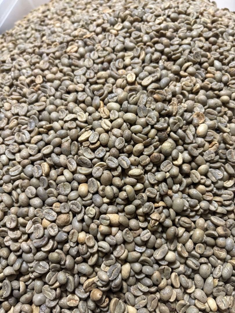 爆安！【コーヒー生豆】コロンビアスプレモ　 8kg 送料無料