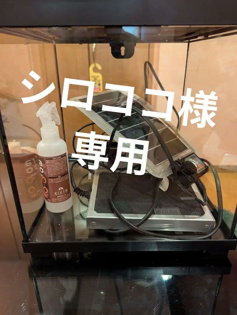 シロココ　爬虫類飼育セット