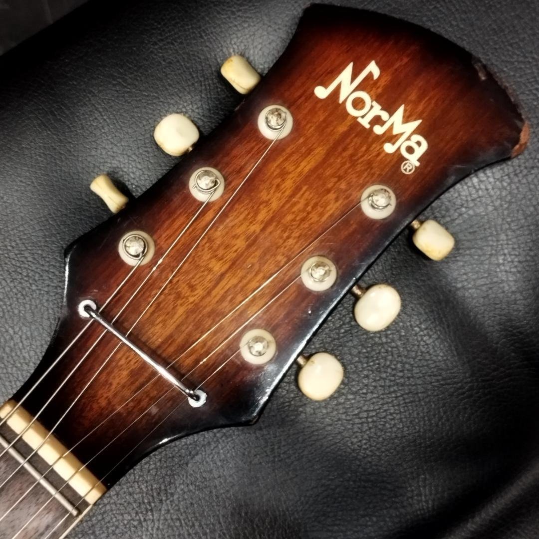 Norma ノルマ 60年代製 ビザール エレキギター　Tomboフルアコ