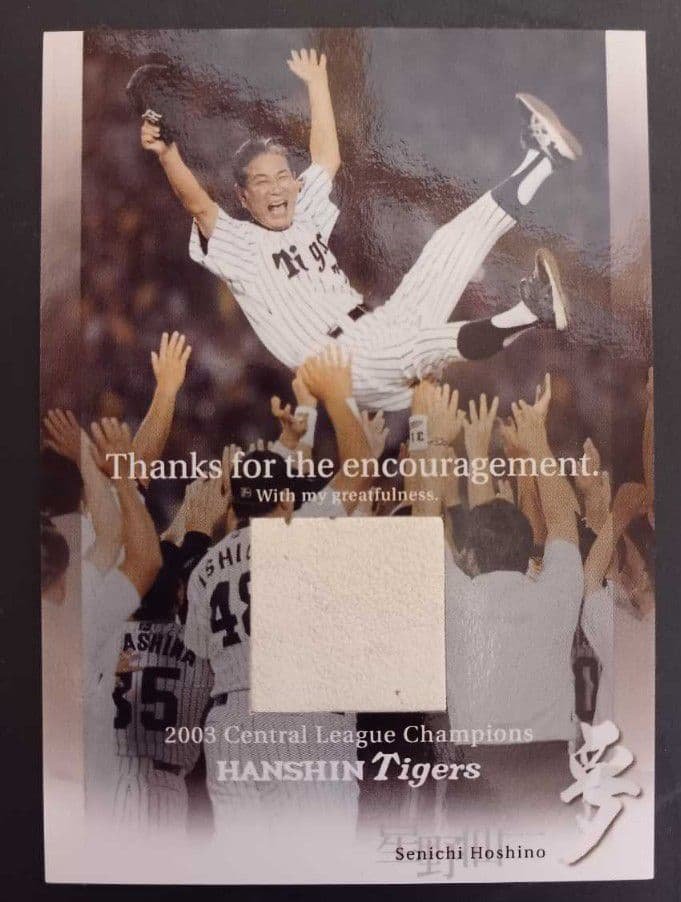 ✳️大切にしてくださる方にお譲りします✳️BBM04星野仙一セット　ボールカード