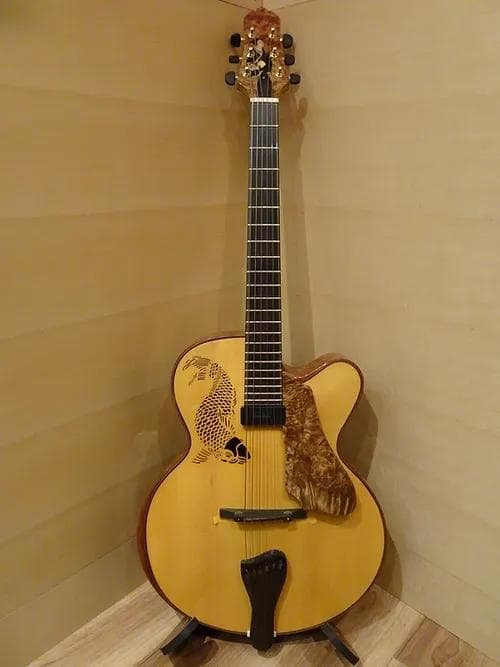 最終価格！Oracle of Guitars Burl Maple Benede