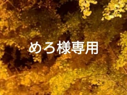 めろページ