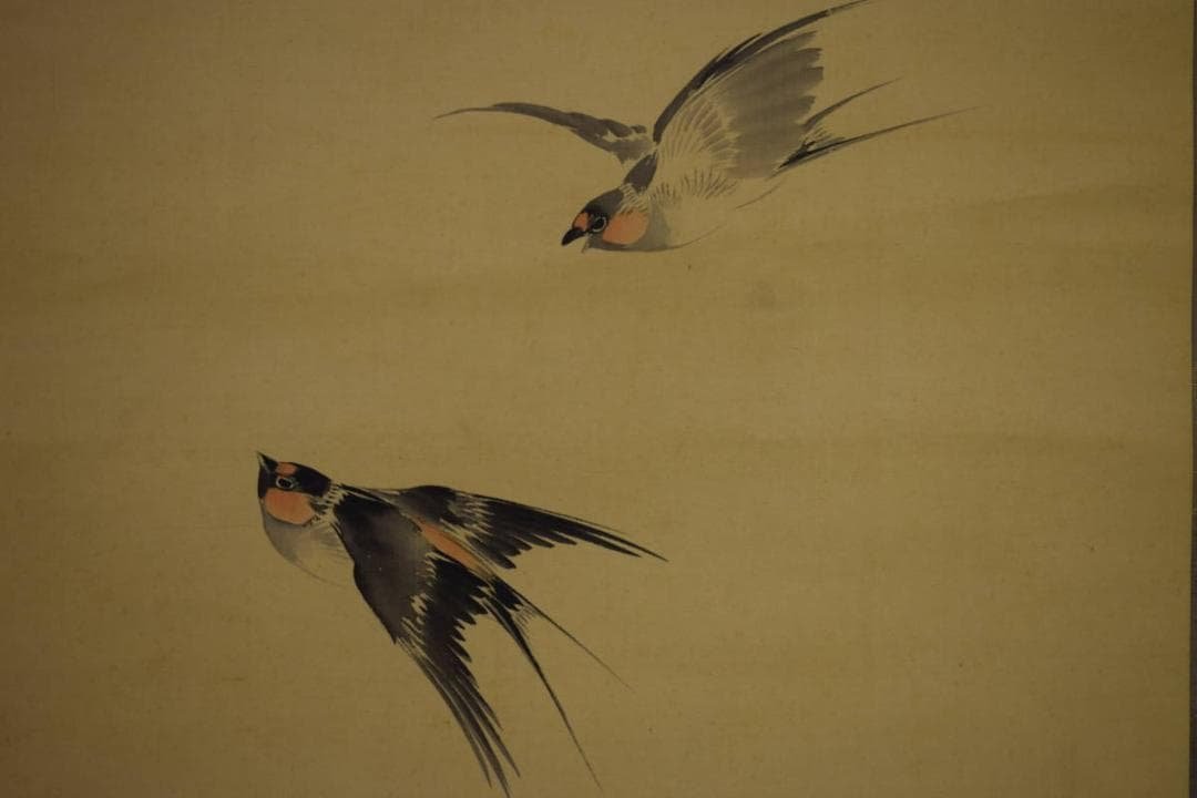 真作/荒木寛畝/菜花飛燕図/桐共箱付/布袋屋掛軸HI-351